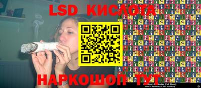гашик Кунгур