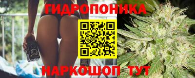 гашик Кунгур