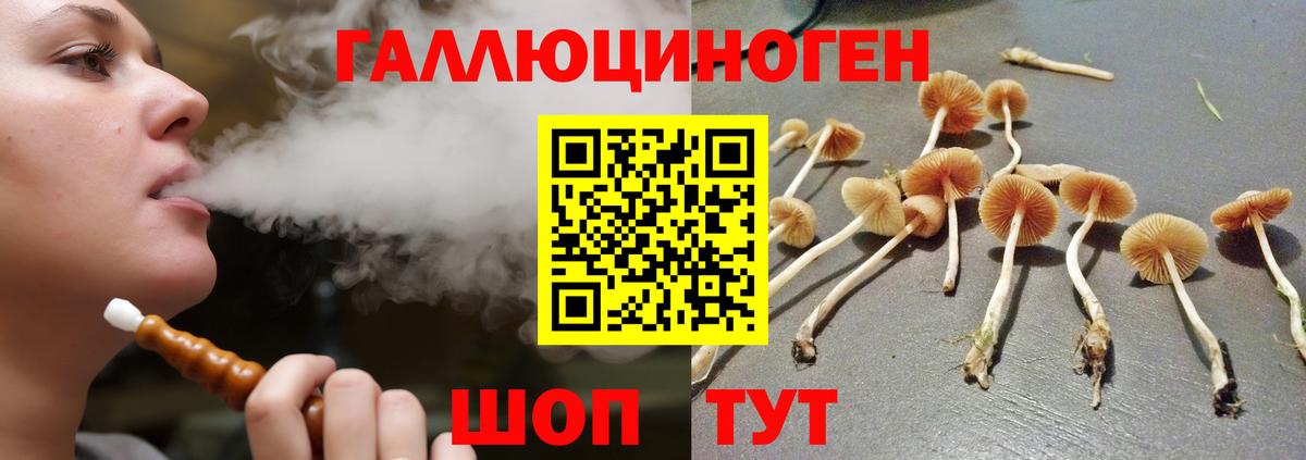 Псилоцибиновые грибы GOLDEN TEACHER Сарапул